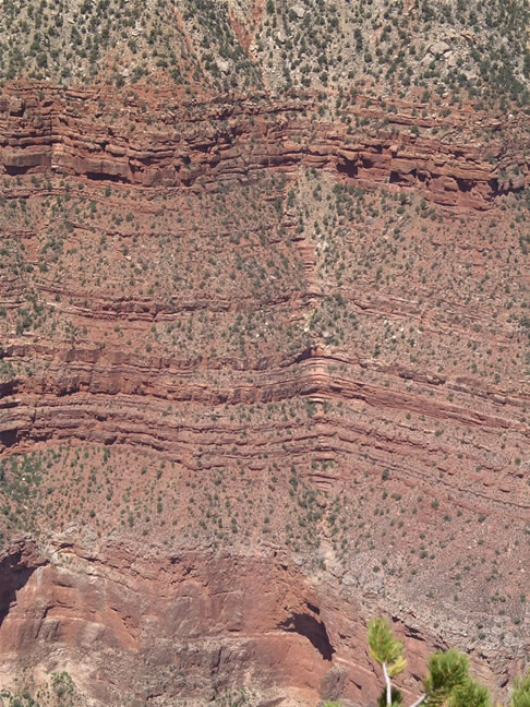 images/C- Yavapai Point Canyon View (14).jpg